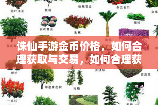 诛仙手游金币价格,如何合理获取与交易,如何合理获取与交易诛仙手游金币? 诛仙手游金币价格,如何合理获取与交易,如何合理获取与交易诛仙手游金币?