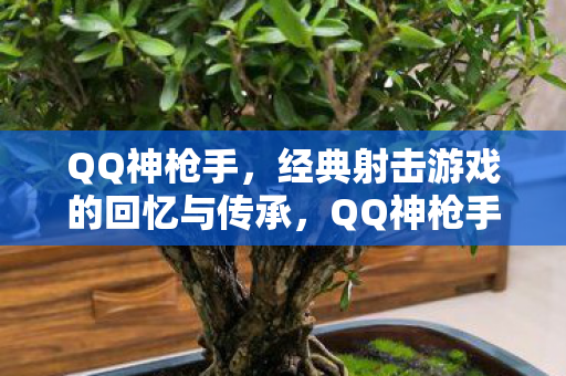 QQ神枪手，经典射击游戏的回忆与传承，QQ神枪手，经典射击游戏的回忆与传承