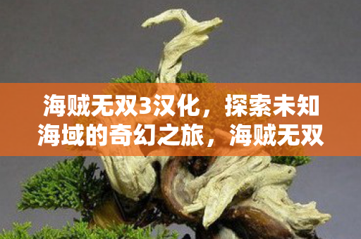 海贼无双3汉化,探索未知海域的奇幻之旅,海贼无双3汉化版,探索未知海域的奇幻冒险之旅 海贼无双3汉化,探索未知海域的奇幻之旅,海贼无双3汉化版,探索未知海域的奇幻冒险之旅