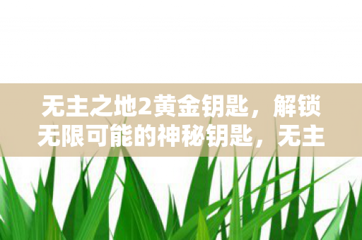 无主之地2黄金钥匙,解锁无限可能的神秘钥匙,无主之地2黄金钥匙,解锁无限可能的神秘钥匙 无主之地2黄金钥匙,解锁无限可能的神秘钥匙,无主之地2黄金钥匙,解锁无限可能的神秘钥匙