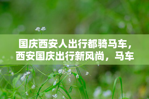 国庆西安人出行都骑马车,西安国庆出行新风尚,马车游城 国庆西安人出行都骑马车,西安国庆出行新风尚,马车游城