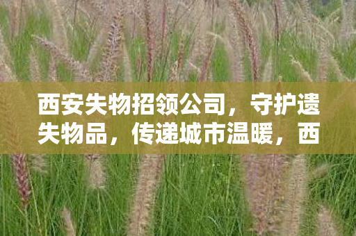 西安失物招领公司,守护遗失物品,传递城市温暖,西安失物招领公司,守护遗失物品,传递城市温暖 西安失物招领公司,守护遗失物品,传递城市温暖,西安失物招领公司,守护遗失物品,传递城市温暖