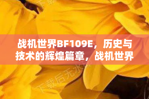 战机世界BF109E,历史与技术的辉煌篇章,战机世界BF109E,历史与技术的辉煌篇章 战机世界BF109E,历史与技术的辉煌篇章,战机世界BF109E,历史与技术的辉煌篇章