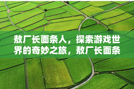 敖厂长面条人,探索游戏世界的奇妙之旅,敖厂长面条人,游戏世界的奇妙探险之旅 敖厂长面条人,探索游戏世界的奇妙之旅,敖厂长面条人,游戏世界的奇妙探险之旅