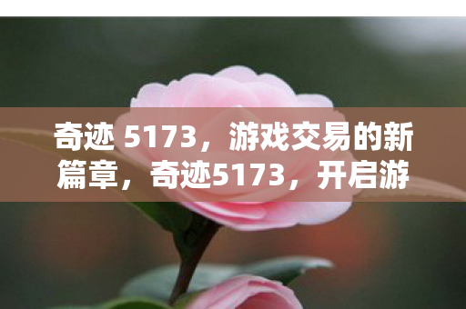 奇迹 5173,游戏交易的新篇章,奇迹5173,开启游戏交易新篇章 奇迹 5173,游戏交易的新篇章,奇迹5173,开启游戏交易新篇章
