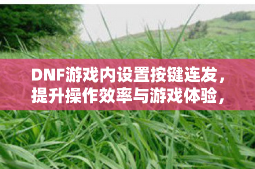 DNF游戏内设置按键连发,提升操作效率与游戏体验,DNF,设置按键连发,提升操作效率与游戏体验 DNF游戏内设置按键连发,提升操作效率与游戏体验,DNF,设置按键连发,提升操作效率与游戏体验