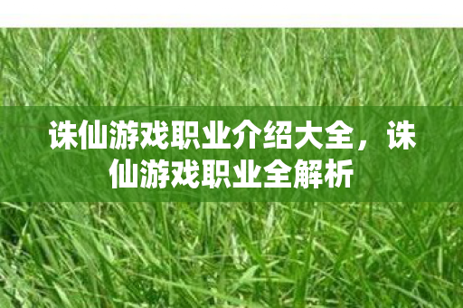 诛仙游戏职业介绍大全,诛仙游戏职业全解析 诛仙游戏职业介绍大全,诛仙游戏职业全解析