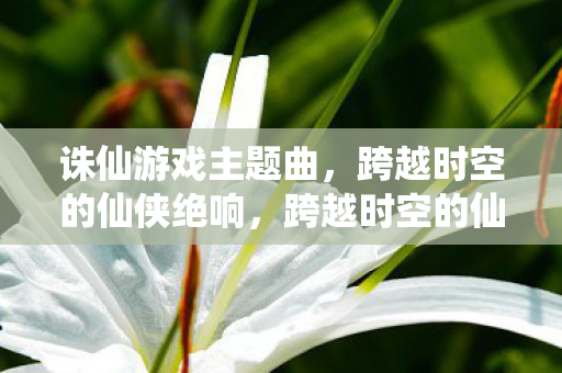 跨越时空的仙侠绝响图片