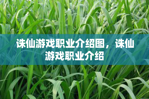 诛仙游戏职业介绍图,诛仙游戏职业介绍 诛仙游戏职业介绍图,诛仙游戏职业介绍