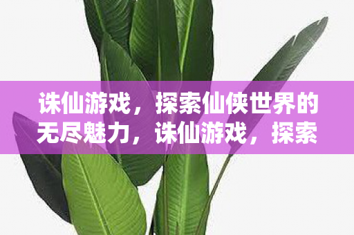 诛仙游戏,探索仙侠世界的无尽魅力,诛仙游戏,探索仙侠世界的无尽魅力 诛仙游戏,探索仙侠世界的无尽魅力,诛仙游戏,探索仙侠世界的无尽魅力