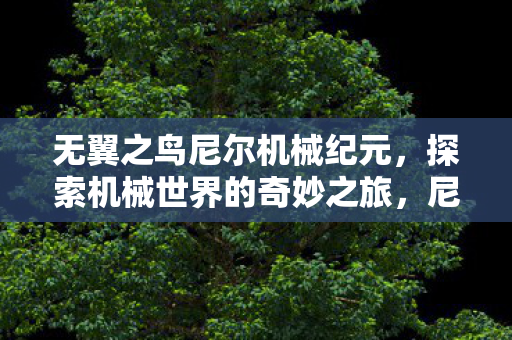无翼之鸟尼尔机械纪元，探索机械世界的奇妙之旅，尼尔，机械纪元探索机械世界的奇妙之旅