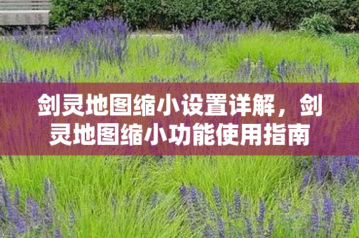剑灵地图缩小功能使用指南图片