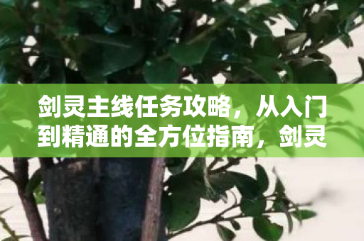 从入门到精通的全方位指南图片