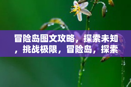 冒险岛图文攻略,探索未知,挑战极限,冒险岛,探索未知,挑战极限的图文攻略 冒险岛图文攻略,探索未知,挑战极限,冒险岛,探索未知,挑战极限的图文攻略