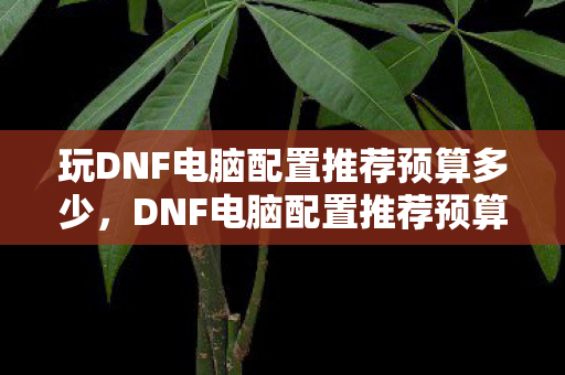 玩DNF电脑配置推荐预算多少,DNF电脑配置推荐预算,打造流畅游戏体验 玩DNF电脑配置推荐预算多少,DNF电脑配置推荐预算,打造流畅游戏体验