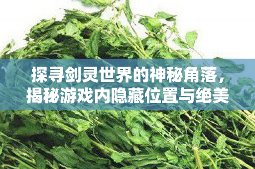 探寻剑灵世界的神秘角落,揭秘游戏内隐藏位置与绝美风景,揭秘剑灵绝美风景与隐藏位置,探寻神秘世界 探寻剑灵世界的神秘角落,揭秘游戏内隐藏位置与绝美风景,揭秘剑灵绝美风景与隐藏位置,探寻神秘世界