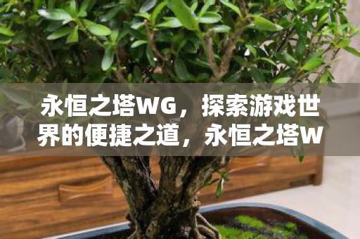 永恒之塔WG,探索游戏世界的便捷之道,永恒之塔WG,探索游戏世界的便捷之道 永恒之塔WG,探索游戏世界的便捷之道,永恒之塔WG,探索游戏世界的便捷之道