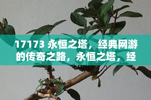 17173 永恒之塔,经典网游的传奇之路,永恒之塔,经典网游的传奇之路 17173 永恒之塔,经典网游的传奇之路,永恒之塔,经典网游的传奇之路