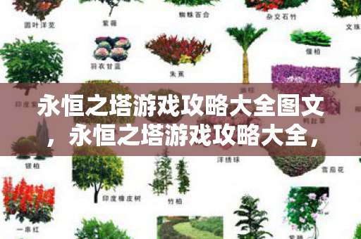 永恒之塔游戏攻略大全图文图片