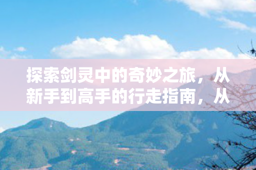 探索剑灵中的奇妙之旅,从新手到高手的行走指南,从新手到高手,探索剑灵世界的奇妙之旅 探索剑灵中的奇妙之旅,从新手到高手的行走指南,从新手到高手,探索剑灵世界的奇妙之旅