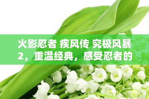 火影忍者 疾风传 究极风暴2,重温经典,感受忍者的热血与羁绊,重温火影忍者疾风传,体验忍者的热血与羁绊 火影忍者 疾风传 究极风暴2,重温经典,感受忍者的热血与羁绊,重温火影忍者疾风传,体验忍者的热血与羁绊