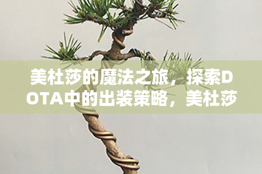 美杜莎的魔法之旅，探索DOTA中的出装策略，美杜莎的魔法之旅，探索DOTA中的最佳出装策略