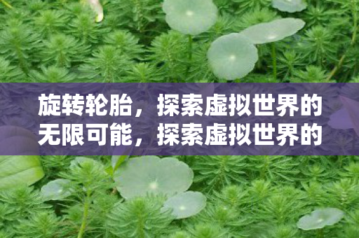 旋转轮胎,探索虚拟世界的无限可能,探索虚拟世界的无限可能,旋转轮胎 旋转轮胎,探索虚拟世界的无限可能,探索虚拟世界的无限可能,旋转轮胎