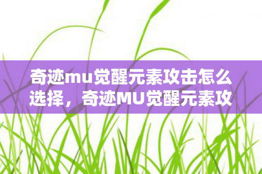 奇迹mu觉醒元素攻击怎么选择,奇迹MU觉醒元素攻击选择指南 奇迹mu觉醒元素攻击怎么选择,奇迹MU觉醒元素攻击选择指南
