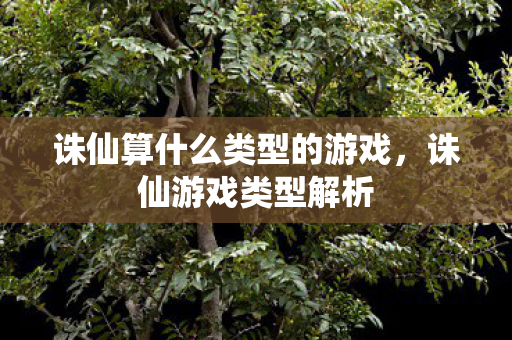 诛仙算什么类型的游戏,诛仙游戏类型解析 诛仙算什么类型的游戏,诛仙游戏类型解析