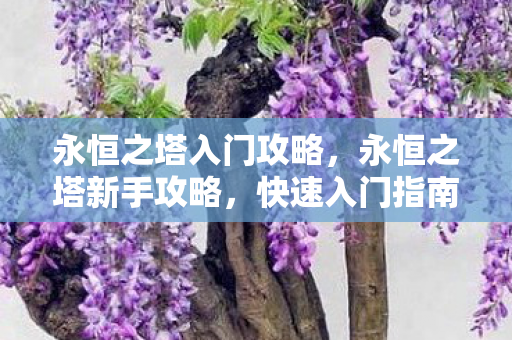 永恒之塔入门攻略，永恒之塔新手攻略，快速入门指南