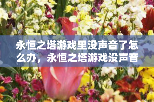 永恒之塔游戏里没声音了怎么办,永恒之塔游戏没声音解决方法 永恒之塔游戏里没声音了怎么办,永恒之塔游戏没声音解决方法