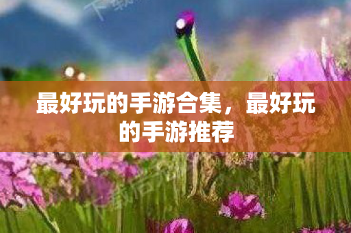 最好玩的手游合集,最好玩的手游推荐 最好玩的手游合集,最好玩的手游推荐