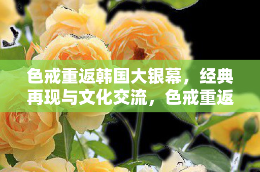 色戒重返韩国大银幕，经典再现与文化交流，色戒重返韩国大银幕，经典再现与文化交流