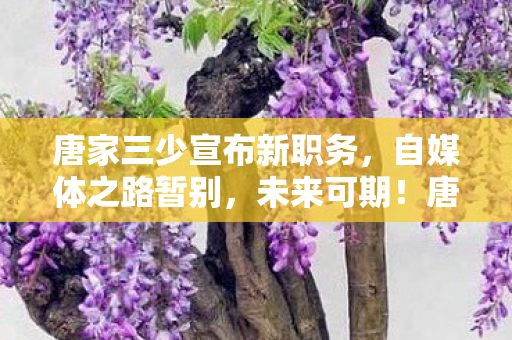唐家三少宣布新职务，自媒体之路暂别，未来可期！唐家三少宣布新职务，暂别自媒体之路