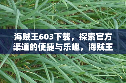 海贼王603下载,探索官方渠道的便捷与乐趣,海贼王603集官方下载,便捷与乐趣的官方渠道探索 海贼王603下载,探索官方渠道的便捷与乐趣,海贼王603集官方下载,便捷与乐趣的官方渠道探索