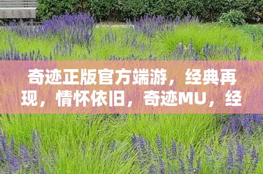 奇迹正版官方端游,经典再现,情怀依旧,奇迹MU,经典端游再现,情怀依旧 奇迹正版官方端游,经典再现,情怀依旧,奇迹MU,经典端游再现,情怀依旧