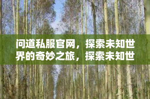 问道私服官网,探索未知世界的奇妙之旅,探索未知世界的奇妙之旅,问道私服官网 问道私服官网,探索未知世界的奇妙之旅,探索未知世界的奇妙之旅,问道私服官网