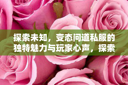 探索未知,变态问道私服的独特魅力与玩家心声,探索未知,变态问道私服的独特魅力与玩家心声 探索未知,变态问道私服的独特魅力与玩家心声,探索未知,变态问道私服的独特魅力与玩家心声