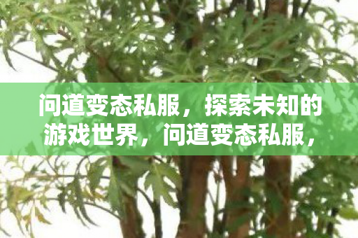 问道变态私服,探索未知的游戏世界,问道变态私服,探索未知的游戏世界之旅 问道变态私服,探索未知的游戏世界,问道变态私服,探索未知的游戏世界之旅