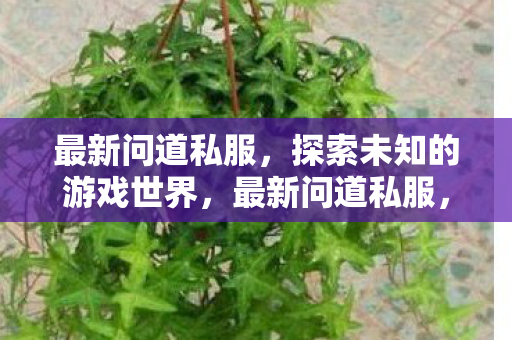 最新问道私服,探索未知的游戏世界,最新问道私服,探索未知的游戏世界 最新问道私服,探索未知的游戏世界,最新问道私服,探索未知的游戏世界