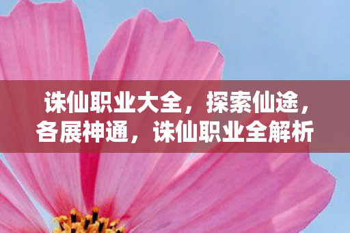 诛仙职业大全,探索仙途,各展神通,诛仙职业全解析,探索仙途,各展神通 诛仙职业大全,探索仙途,各展神通,诛仙职业全解析,探索仙途,各展神通