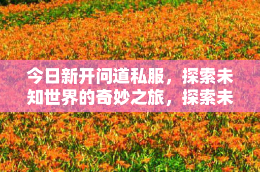 今日新开问道私服,探索未知世界的奇妙之旅,探索未知世界的奇妙之旅,今日新开问道私服 今日新开问道私服,探索未知世界的奇妙之旅,探索未知世界的奇妙之旅,今日新开问道私服