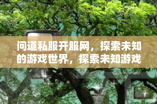 问道私服开服网，探索未知的游戏世界，探索未知游戏世界，问道私服开服网