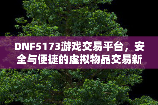 DNF5173游戏交易平台,安全与便捷的虚拟物品交易新选择,DNF5173,安全便捷的虚拟物品交易新选择 DNF5173游戏交易平台,安全与便捷的虚拟物品交易新选择,DNF5173,安全便捷的虚拟物品交易新选择