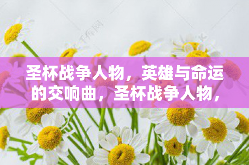 圣杯战争人物，英雄与命运的交响曲，圣杯战争人物，英雄与命运的交响曲