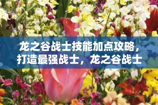 龙之谷战士技能加点攻略，打造最强战士，龙之谷战士技能加点指南，打造无敌战士