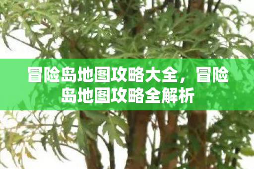 冒险岛地图攻略大全,冒险岛地图攻略全解析 冒险岛地图攻略大全,冒险岛地图攻略全解析