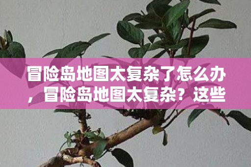 冒险岛地图太复杂了怎么办,冒险岛地图太复杂?这些攻略帮你轻松应对! 冒险岛地图太复杂了怎么办,冒险岛地图太复杂?这些攻略帮你轻松应对!