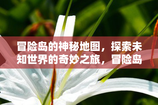冒险岛的神秘地图,探索未知世界的奇妙之旅,冒险岛神秘地图,探索未知世界的奇妙之旅 冒险岛的神秘地图,探索未知世界的奇妙之旅,冒险岛神秘地图,探索未知世界的奇妙之旅