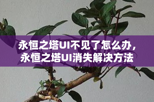 永恒之塔UI不见了怎么办,永恒之塔UI消失解决方法 永恒之塔UI不见了怎么办,永恒之塔UI消失解决方法